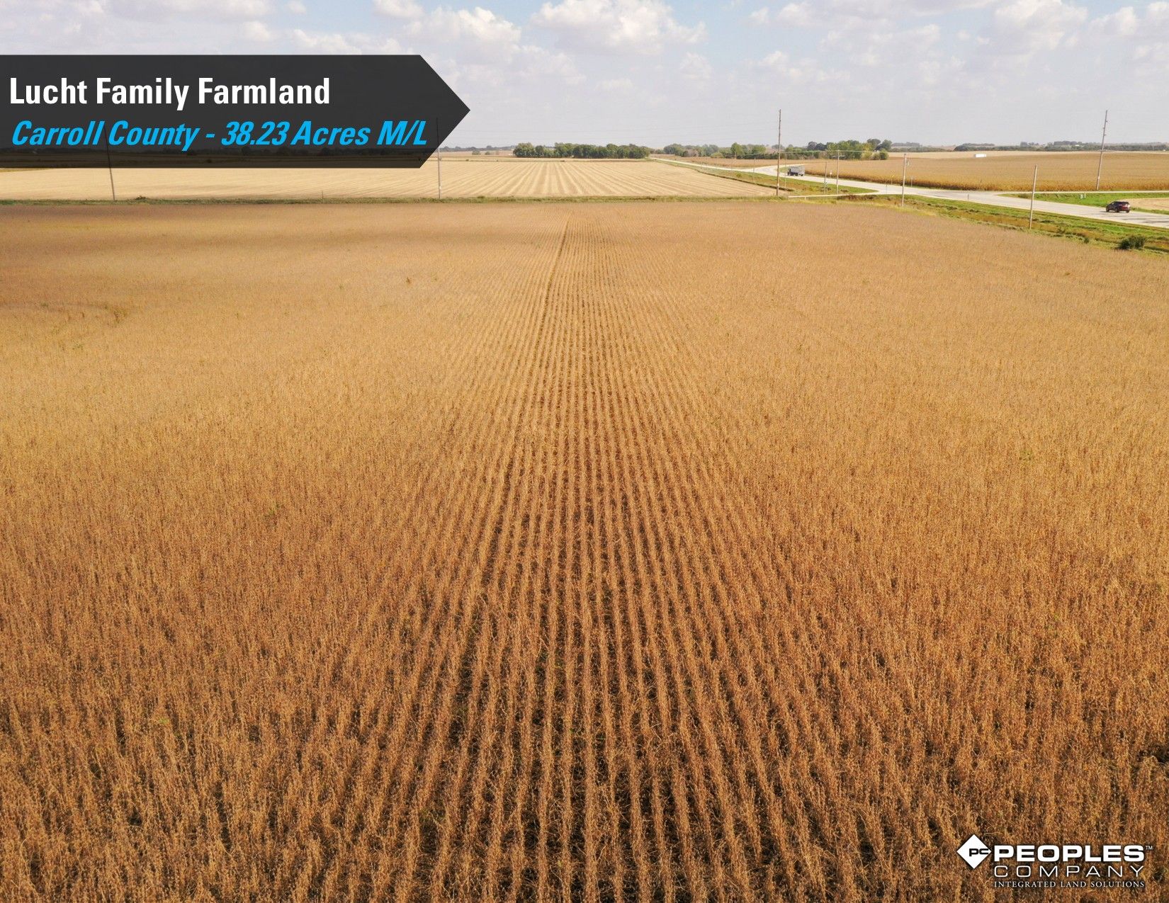 Listing Photo: Lucht-Family-Farmland-Auction-Online-Carroll-County-Iowa-38.23Acres (13)